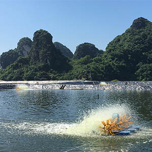 shrimp pond water quality Aquaculture shrimp pond in Vietnam