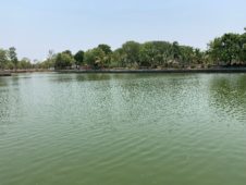 Status Update: Lake Ranisagar Chaupati in Chhattisgarh, India after 3 Years without BiOWiSH