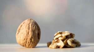 Helena Study – Evaluation of BiOWiSH<sup>®</sup> Crop Liquid on Yield and Quality in Walnuts – Year 3