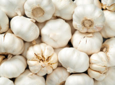 BiOWiSH<sup>®</sup> Additive Increases Yield in Garlic