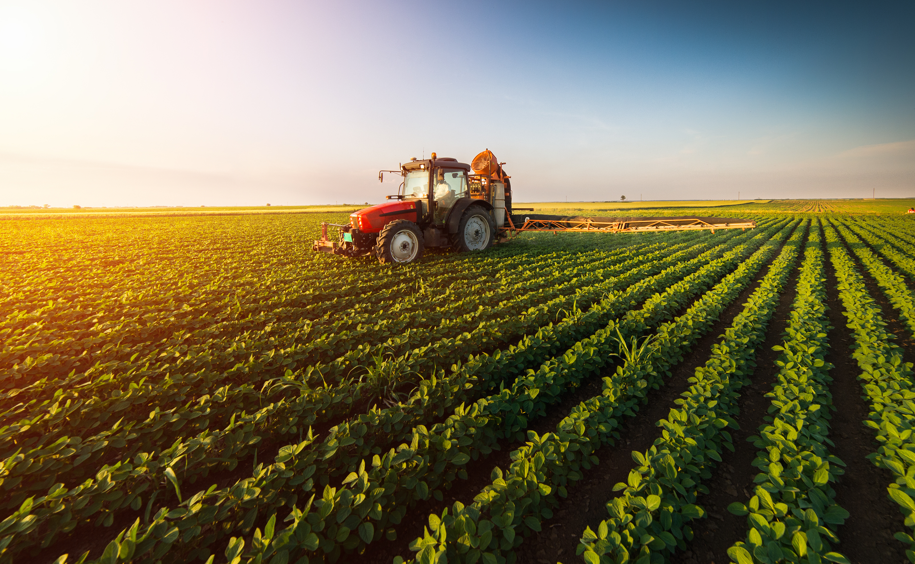 Tractor in field