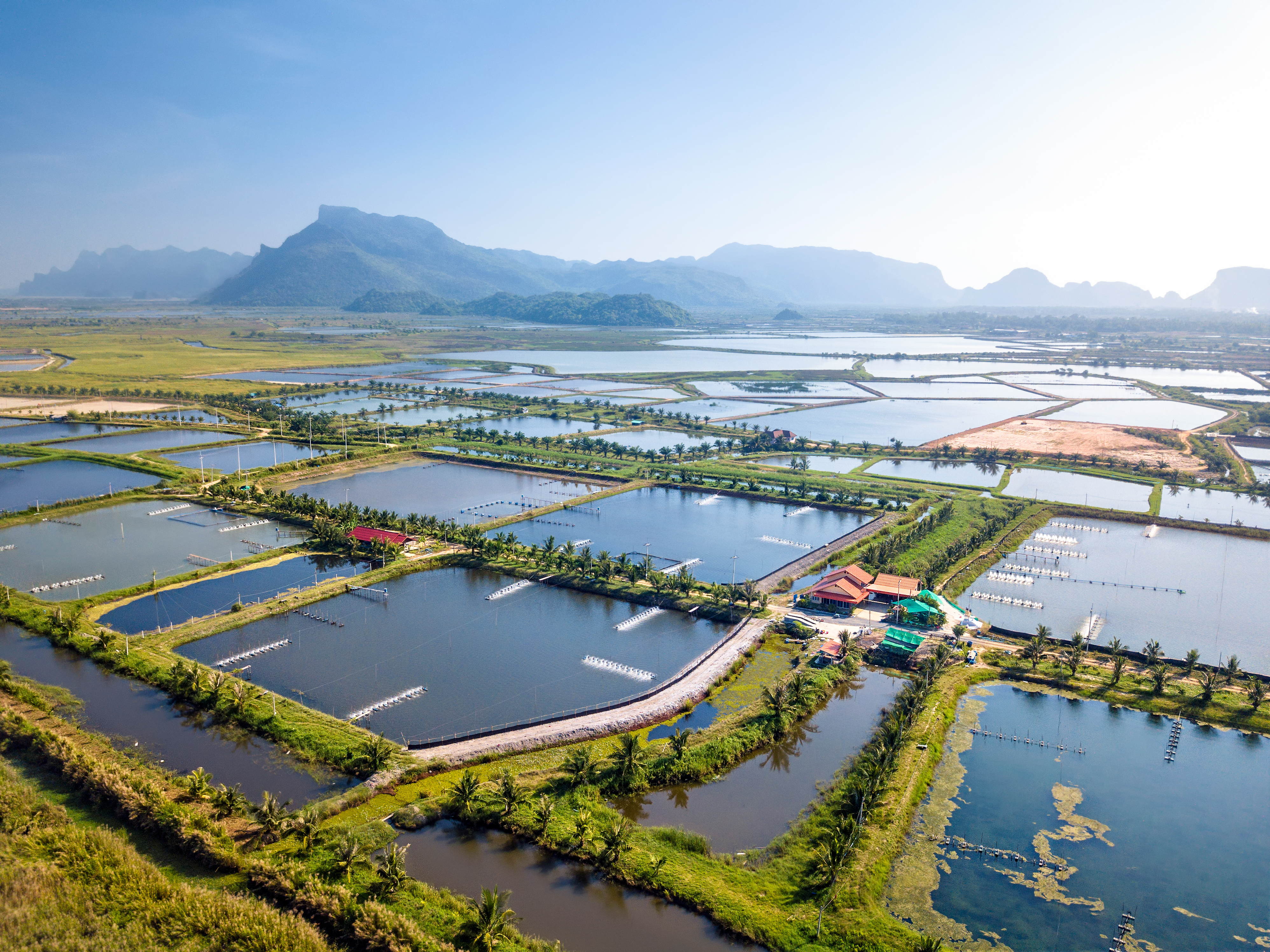 aquaculture farm