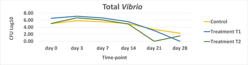 The study demonstrated that both application rates of BiOWiSH<sup>®</sup> AquaFarm (T1 and T2) were effective in eliminating pathogenic Vibrio in three to four weeks. 