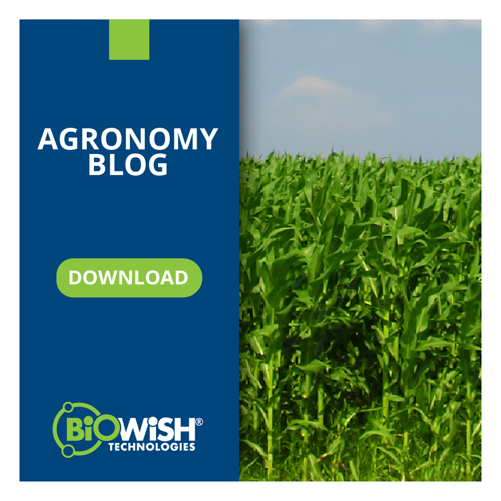 Agronomy Blog