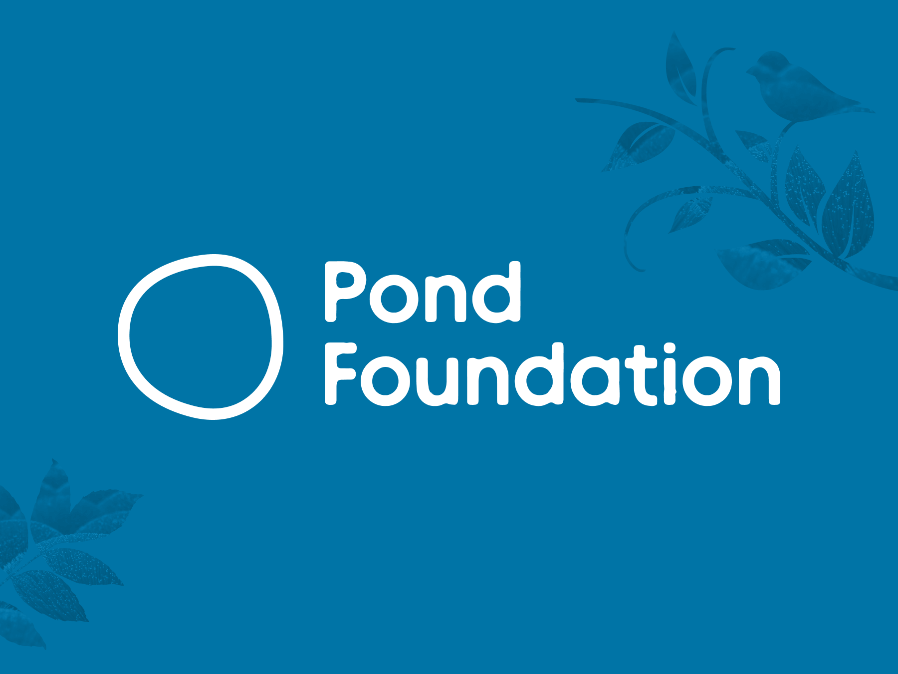 Pond Foundation
