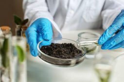 Assessing Your Farm Soil Properties to Grow Better Crops