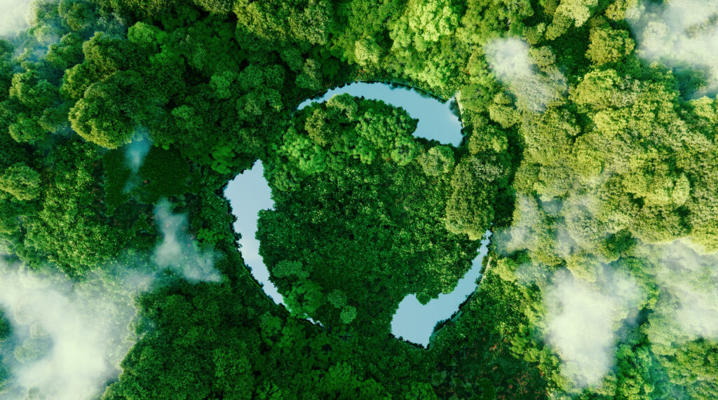 BiOWiSH Sustainability - arial view of trees with three arrows forming a circle