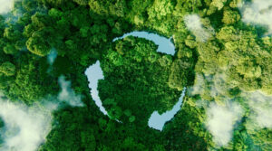 BiOWiSH Sustainability - arial view of trees with three arrows forming a circle