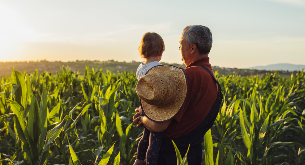 Image of Farmer and Grandchild Overlooking Corn Field