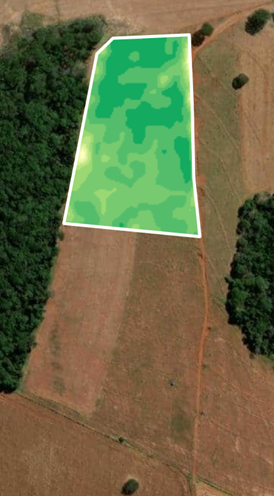 NDVI satellite image of soybean field trial - Control