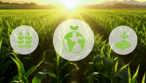 image of corn field with three small graphics: crops, globe and hands holding growing plant. Consistent Results for an Array of Global Agricultural Operations: A Three-Part Series.